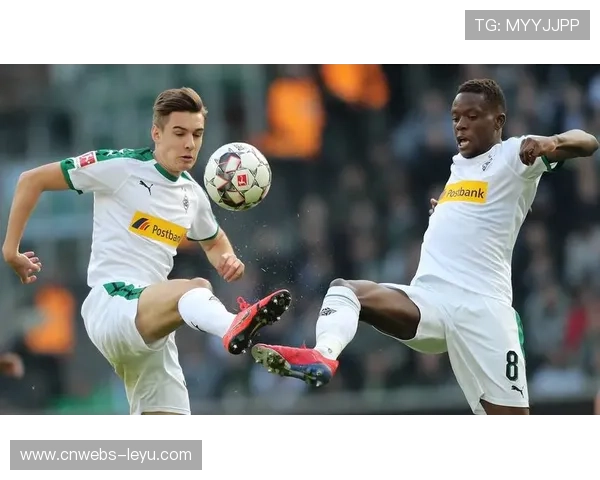 德甲50+1政策争议:资本注入与传统平衡的博弈 德甲50+1政策争议:资本注入与传统平衡的博弈